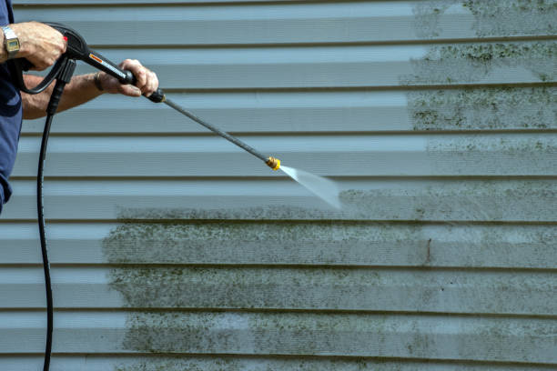 Best Commercial Pressure Washing  in Mcallen, TX